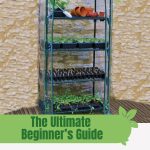 Plant filled mini greenhouse with text: The Ultimate Beginner's Guide to Mini Greenhouse Gardening