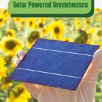 Sunflowers and solar panel with text: Solar Powered Greenhouses The Future of Off-Grid Production