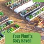 Raised beds and cold frames with text: Your Plant's Cozy Haven Cold Frame Greenhouses