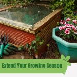 Coldframe and potted plant with text: Extend Your Growing Season with a Cold Frame Greenhouse