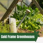 Propped open cold frame with text: Cold Frame Greenhouses Your Gateway to Extended Growing