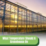 Greenhouse reflecting sunset with text: What Temperature Should A Greenhouse Be At Night?