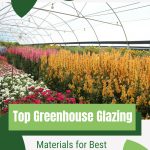 Flowers inside greenhouse with text: Top Greenhouse Glazing Materials for Best Natural Light