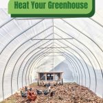 Chickens inside a greenhouse with text: Heat Your Greenhouse Off-Grid