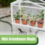 Mini greenhouse with plants in small pots in interior with text: Mini Greenhouse Magic A Beginner's Guide