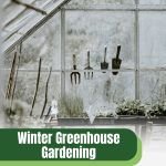 Tools in frost covered greenhouse with text: Winter Greenhouse Gardening Protection from the Cold