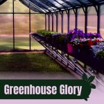 Interior view of greenhouse with shade cloths with text: Greenhouse Glory Best American-Made Picks