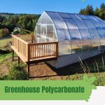 Polycarbonate Riga greenhouse with text: Greenhouse Polycarbonate Buying Guide