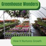 Interior view of a greenhouse in use with text: Greenhouse Wonders How It Nurtures Growth