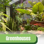 Interior view of greenhouse with text: Greenhouses More Than Just a Pretty Structure