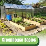 Exterior view of a greenhouse with garden of raised beds with text: Greenhouse Basics A Beginner's Guide