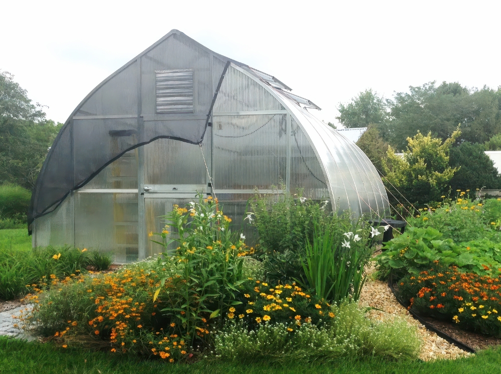 The outside of a greenhouse with a shade cloth draped over the top surrounded by yellow and orange flowers showing accessories for greenhouse use