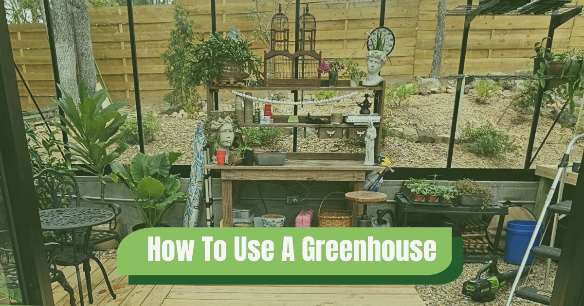 A greenhouse workbench inside of a greenhouse covered with tools, plants and decor with the words "How to use a greenhouse".