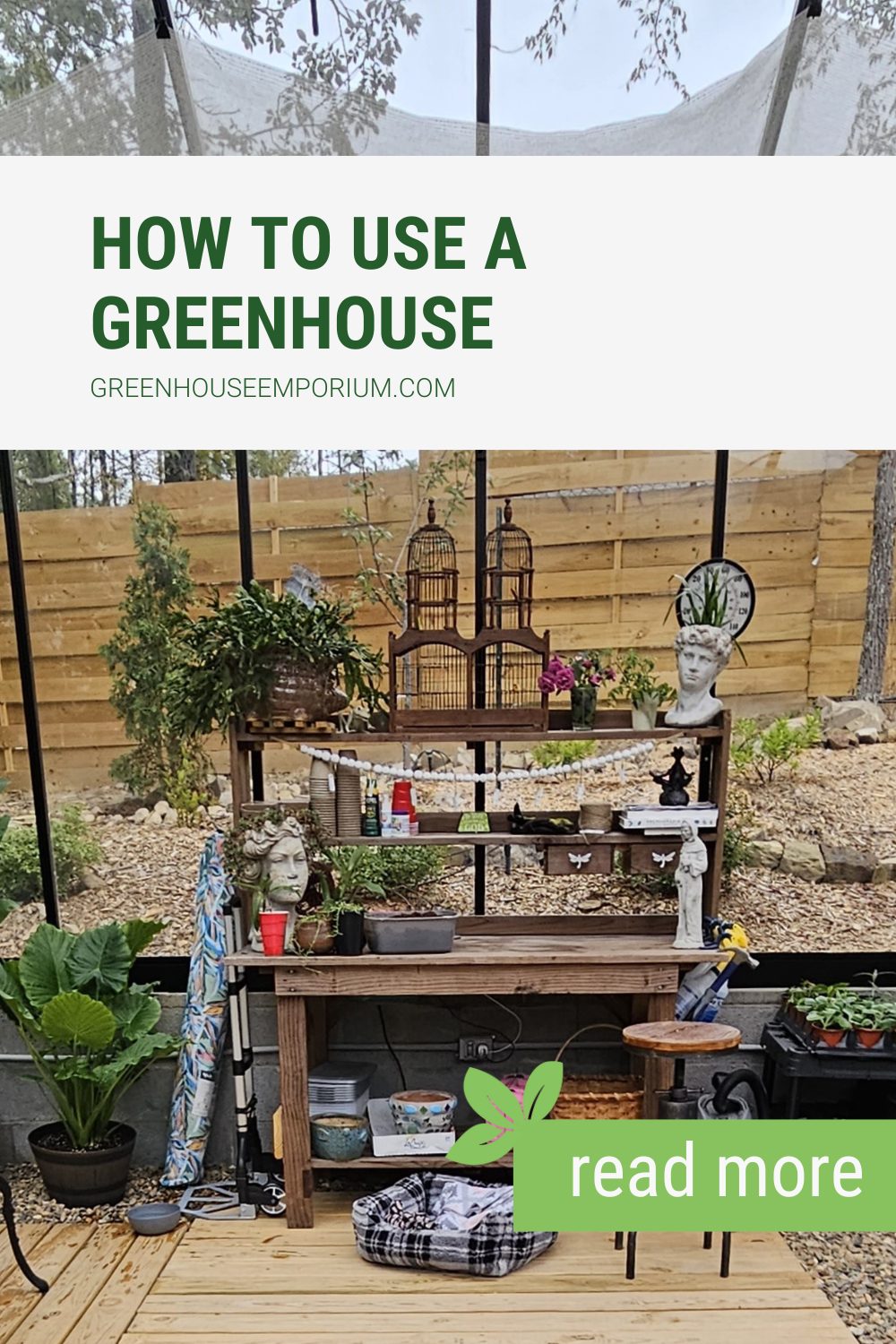 A gardening bench in a greenhouse with the text: How to use a greenhouse. There is also a tag at the bottom reading: read more!