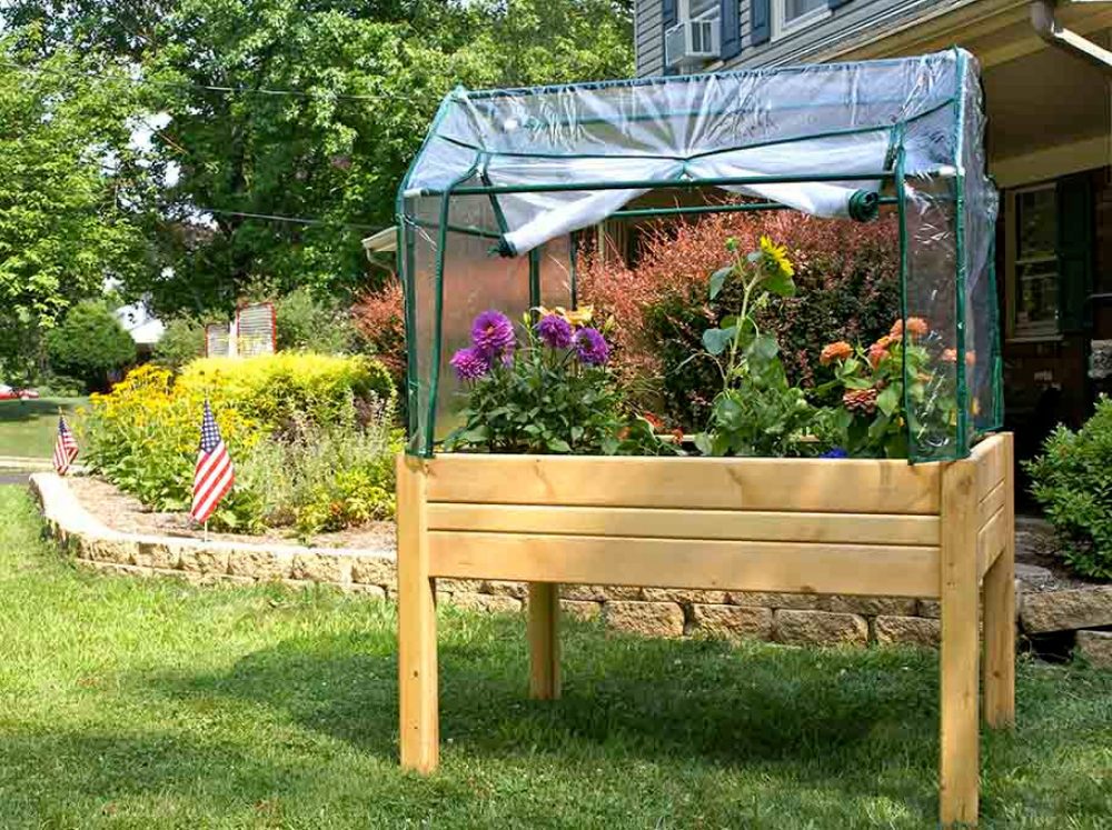 A small raised garden bed with a gable shaped roll up side cold frame greenhouse on top of it filled with blooming flowers. 