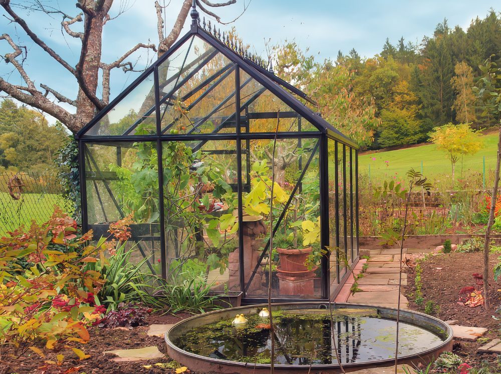 Small, space-saving glass Janssens Victorian gable greenhouse with a small pond in front filled with potted plants. 