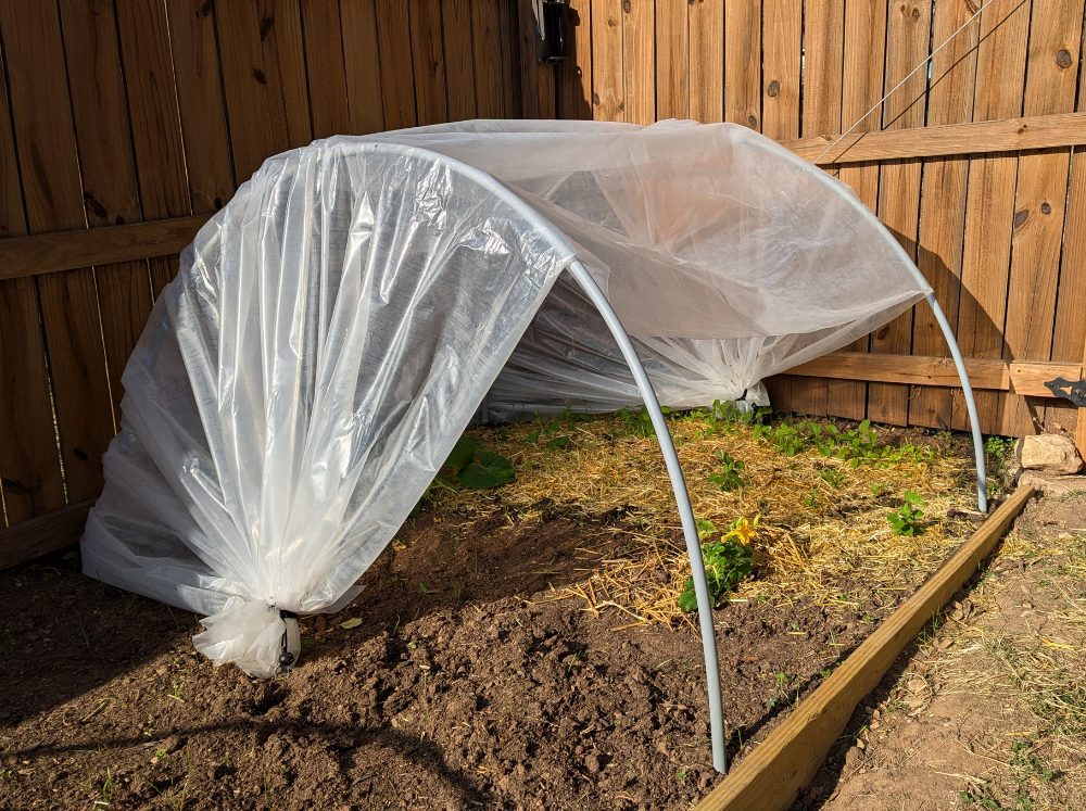 A tunnel shaped hoop greenhouse installed over a garden bed with a plastic sheet draped over it. 