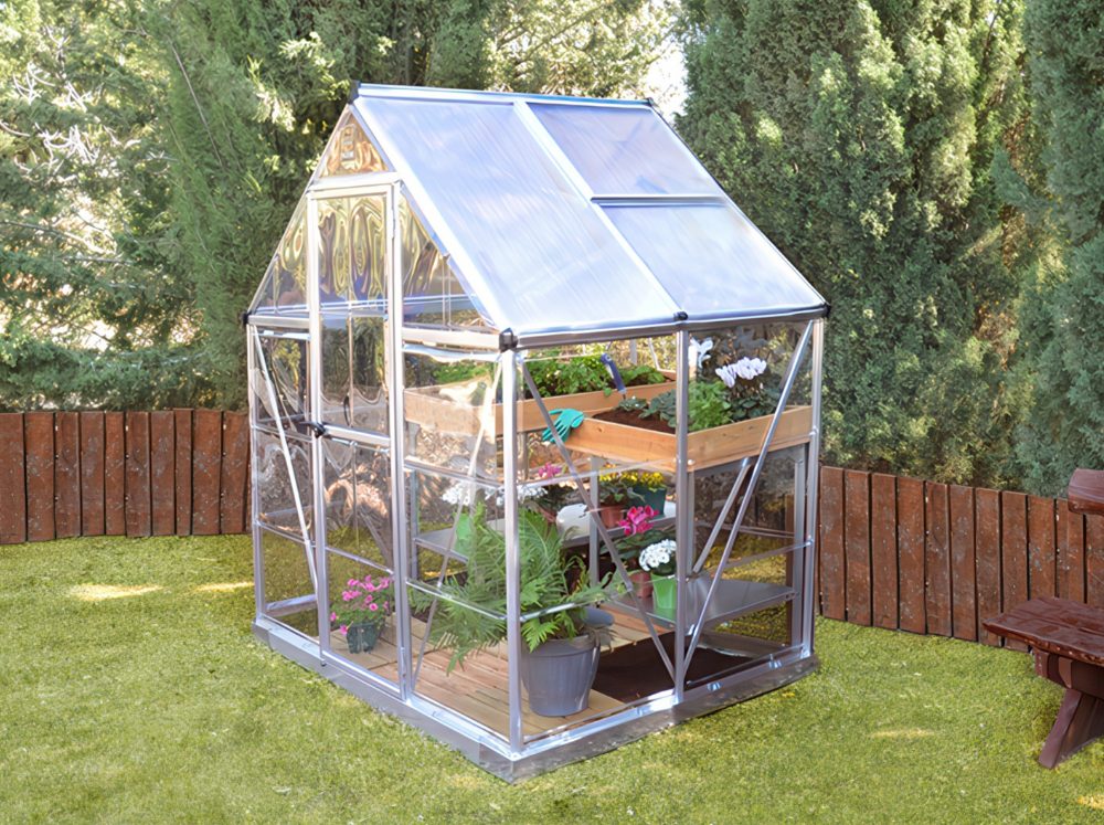 Small plastic gable greenhouse in a back yard next to a fence filled with potted plants.