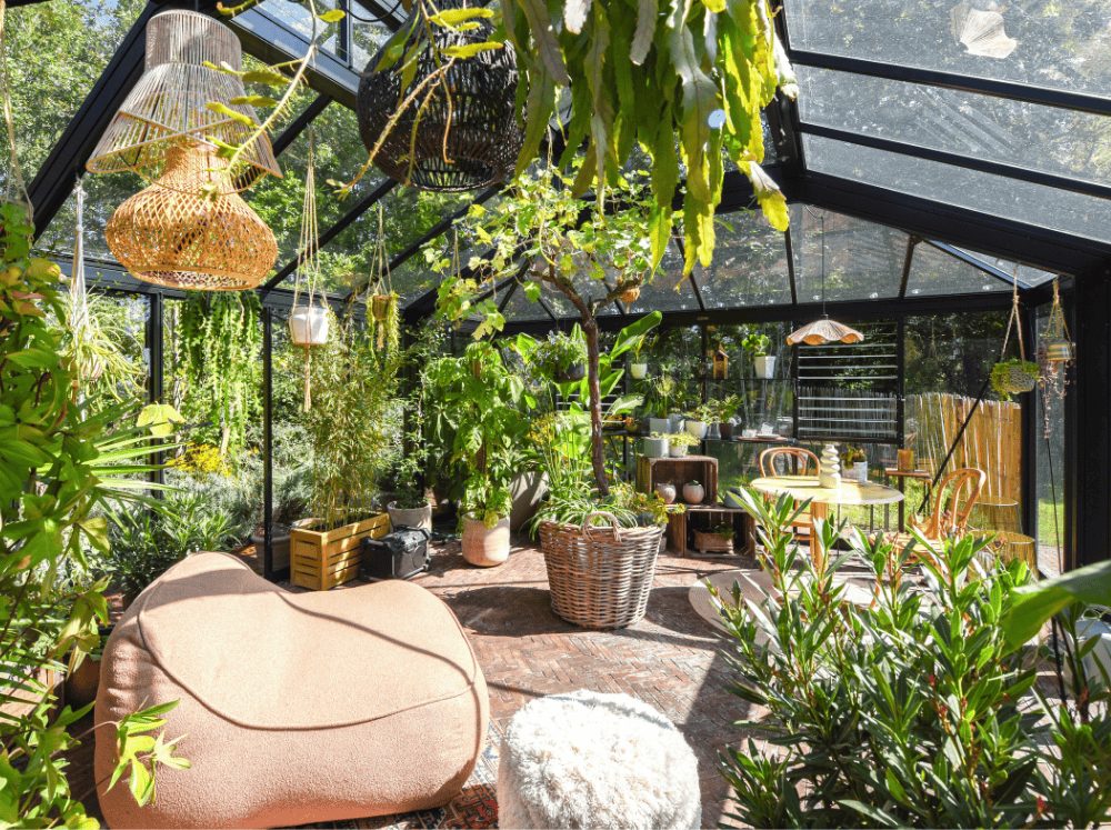 Greenhouse interior transformed into a vibrant indoor jungle with dense foliage, hanging plants, and comfortable seating like a beanbag chair.