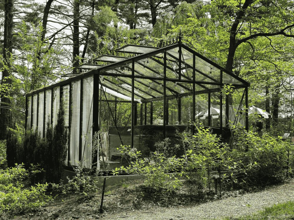 Very large glass gable Janssens black greenhouse kit set in a heavily wooded area.