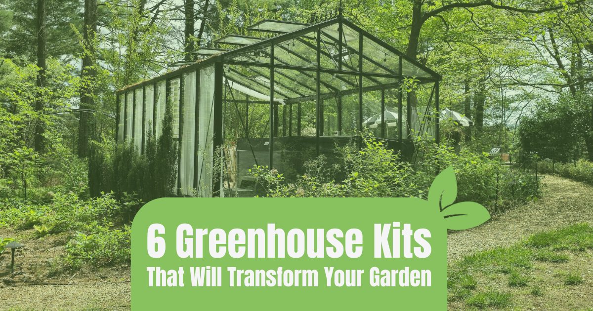 Very large glass gable Janssens black greenhouse kit set in a heavily wooded area covered with a green tint and a title card reading "6 Greenhouse Kits That Will Transform Your Garden."