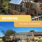 Stacked images of Alton Cheltenham greenhouses. The one on top is a front corner view and the bottom image is a side view. In the middle is a graphic reading "Introducing The Alton Cheltenham".