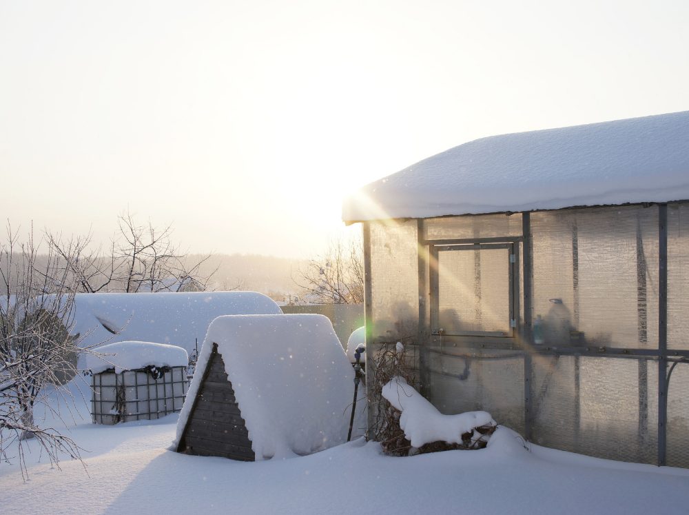Exterior of a polycarbonate gable greenhouse covered in snow