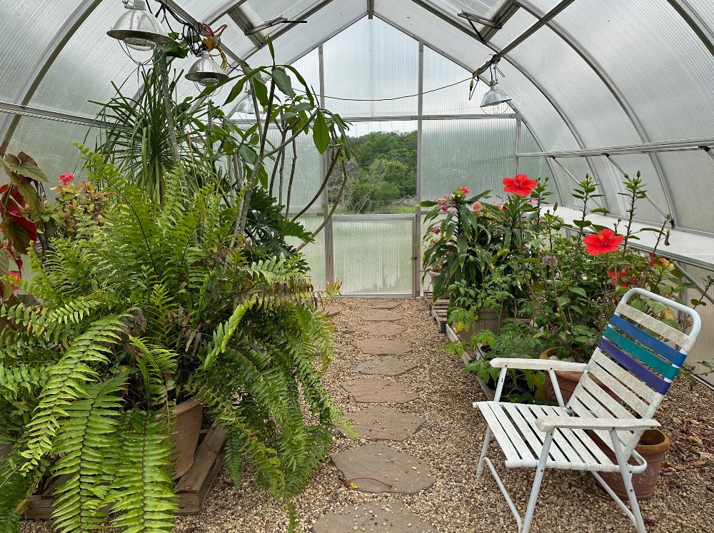 Tropical plants and a lawn chair inside of a riga greenhouse. 