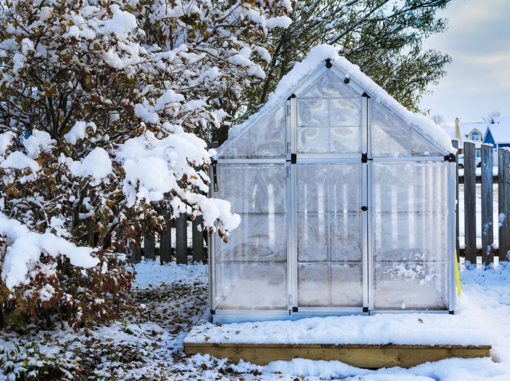 Small plastic panelled greenhouse on a wooden deck in the snow.