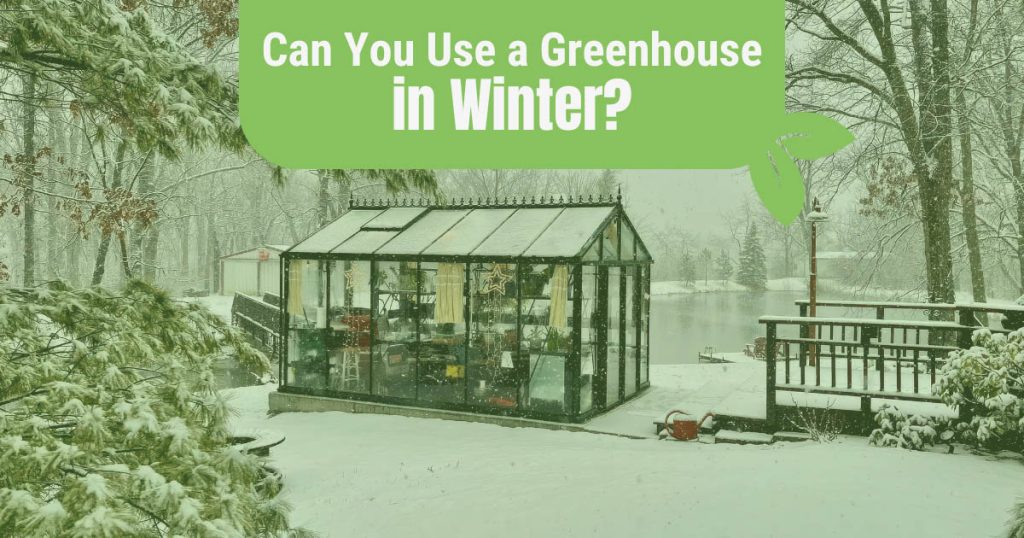 Glass greenhouse in a snowy backyard with the text: Can you use a greenhouse in winter?