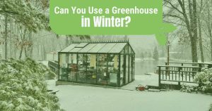 Glass greenhouse in a snowy backyard with the text: Can you use a greenhouse in winter?