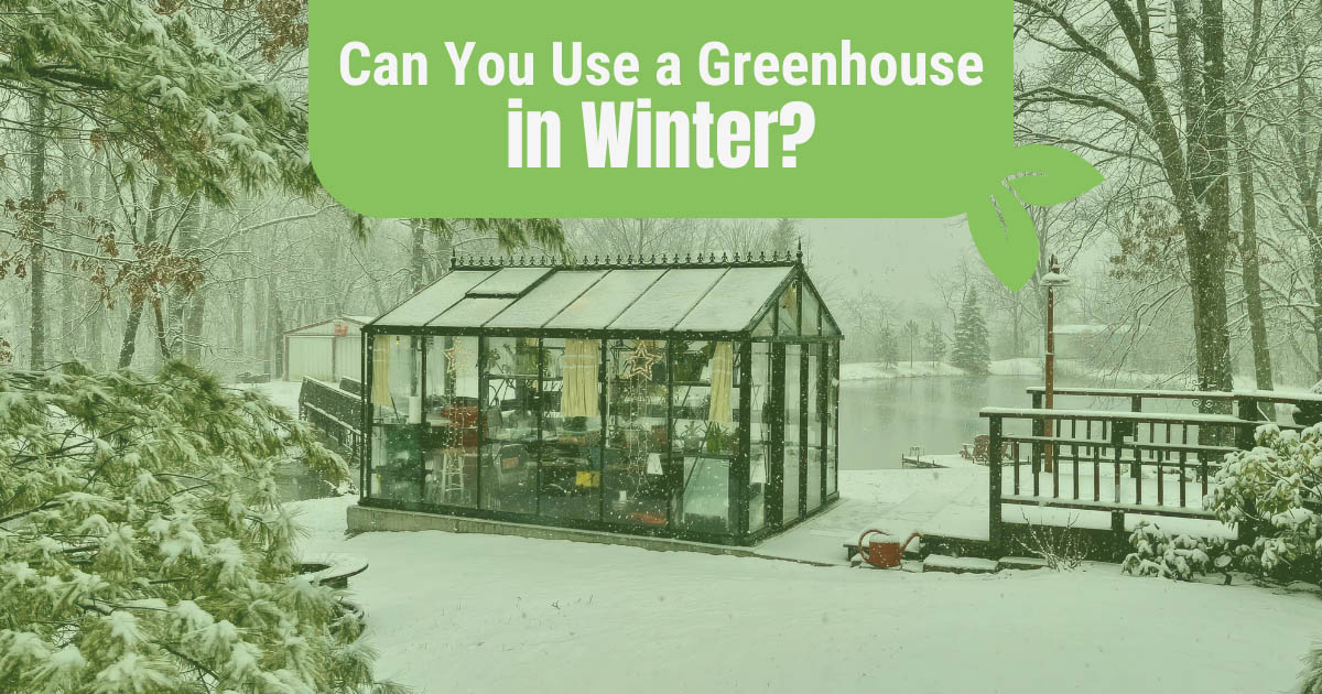 Glass greenhouse in a snowy backyard with the text: Can you use a greenhouse in winter?