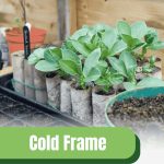 A close-up photograph shows several small, green seedlings sprouting out of recycled toilet paper rolls. A graphic overlay in the top right corner reads "BLOG," and text at the bottom says "Cold Frame," "Seed Starting" and "greenhouse emporium."