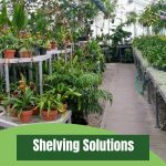 greenhouse interior filled with tiered shelving and potted plants.
