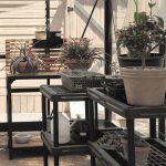 Shelving inside of a glass greenhouse covered with potted plants