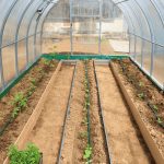 Interior of a tunnel polycarbonate greenhouse with three rows of irrigated raised beds. At the bottom there is a small white text block with a green leaf and "Greenhouse Emporium".