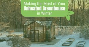 Glass greenhouse in a lightly snowy backyard with the text: Making the Most of Your Unheated Greenhouse in Winter