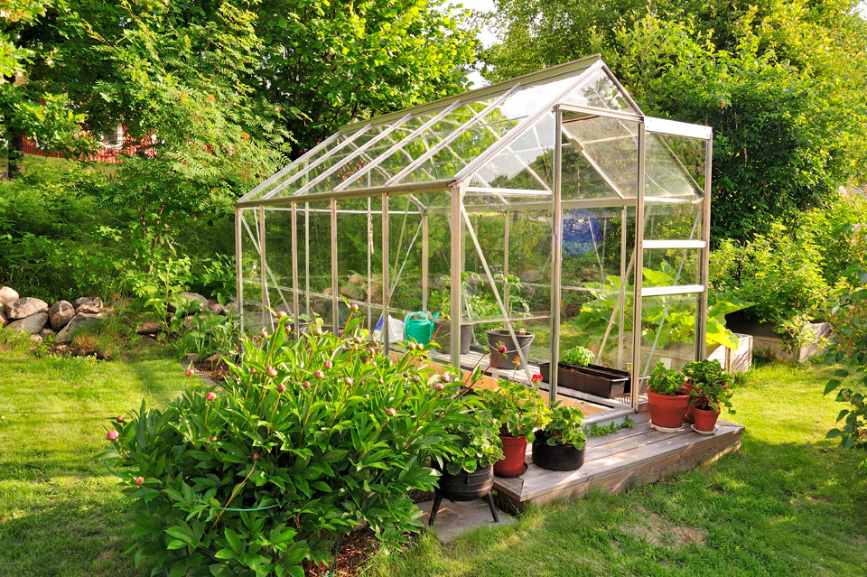 Exterior of greenhouse with door open and greenhouse glass panels