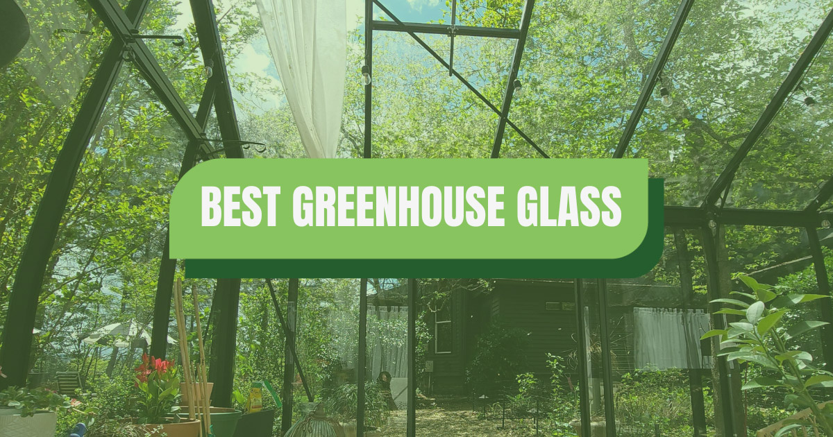 Interior of glass greenhouse with text: Best Greenhouse Glass