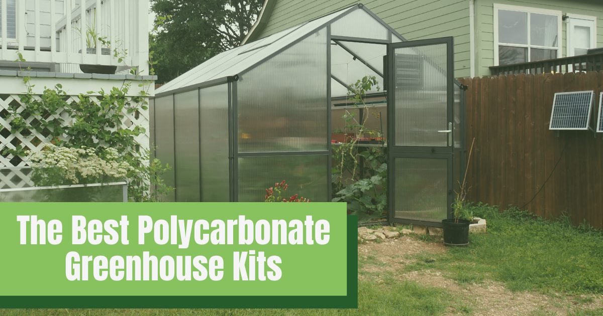 Front corner exterior view of a Nelke Pro polycarbonate greenhouse nestled between a fence and a home. The image is covered by a green tint and a graphic in the bottom left corner reading "The best polycarbonate greenhouse kits"