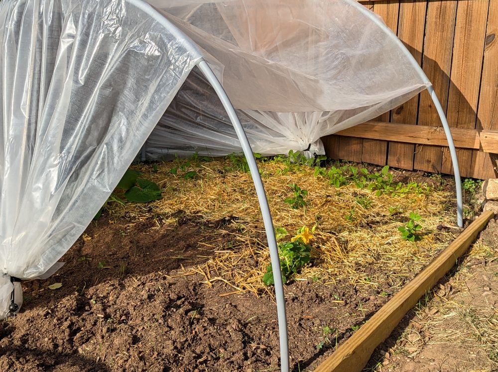 Close-up of a diy pvc pipe low hoop house greenhouse.