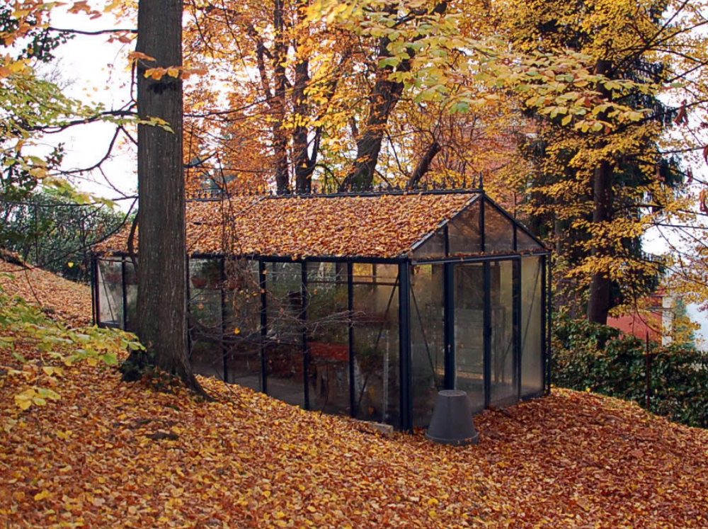 Exterior view of a Janssens glass greenhouse covered in and surrounded by fall leaves in a wooded area.