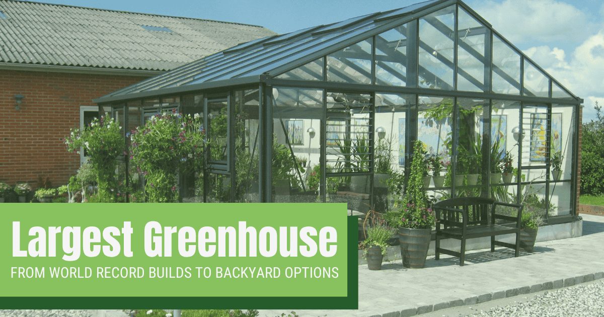 Front corner perspective of a glass Janssens Gigant greenhouse filled with and surrounded by plants. The image has a green tint and a graphic in the bottom left corner reading "Largest Greenhouses: From world record builds to backyard options"