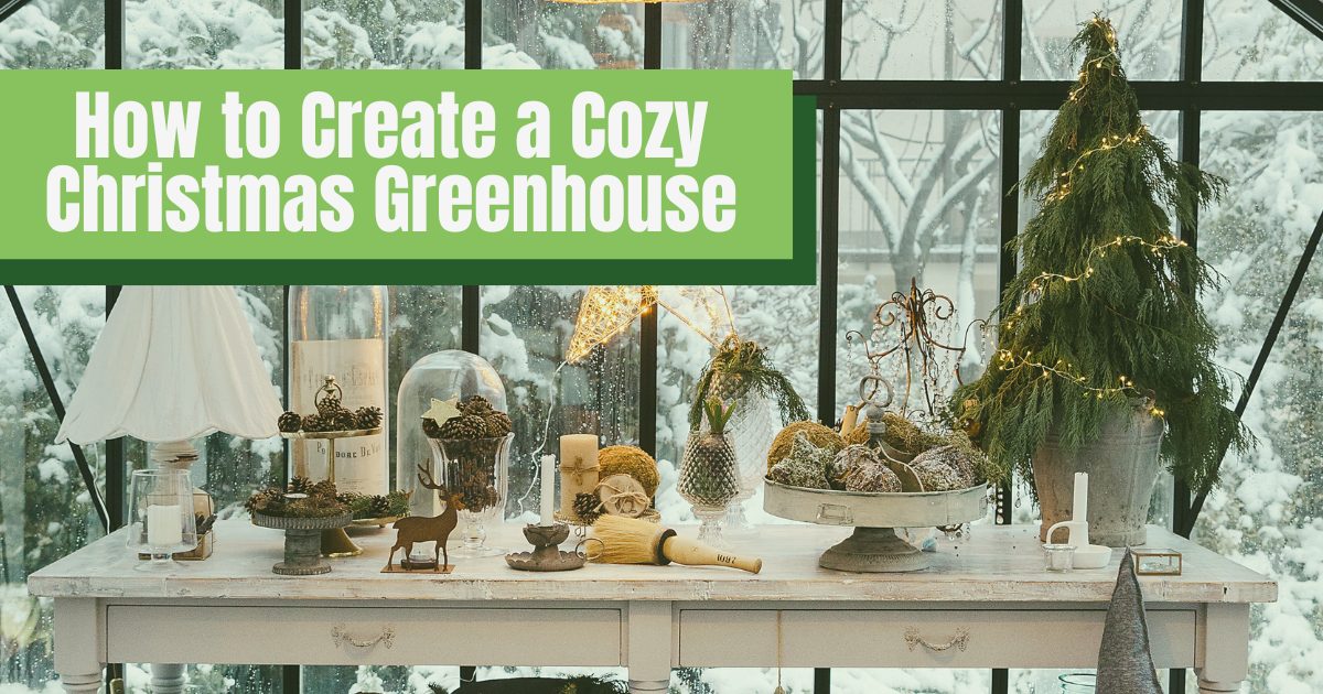 White wooden table set up inside of a greenhouse covered in rustic christmas decor covered with a green tint and a graphic that reads "How to Create a Cozy Christmas Greenhouse"
